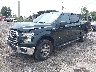 1FTEW1EP4GF****** Usados y Reparables 2016 Ford F-150 en Philadelphia