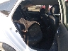3N1AB7APXKY****** Destrozados 2019 Nissan Sentra en Knoxville