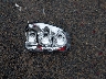 1GNDT33S992****** Wrecked 2009 Chevrolet Trailblazer in Ohio State