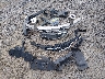 1C3CCCAB1GN****** Wrecked 2016 Chrysler 200 in South Carolina State