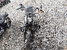 1HD1YJJ10LB****** Usados y Reparables 2020 Harley-Davidson FXBB en Estado de Virginia Occidental