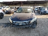 1HGCP2F43BA****** Destrozados 2011 Honda Accord en Estado de Texas