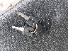 1HD4CFM15PY****** Salvamento 1993 Harley-Davidson Sportster 883 en Estado de Tennessee