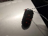 ZACCJBCB6JP****** Salvage 2018 Jeep Renegade in Utah State
