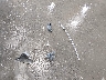 2HKRM4H53DH****** Wrecked 2013 Honda CR-V in Alaska State