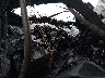 4V5KC9GG74N****** Salvamento y Reparables 2004 Volvo VHD en Estado de Georgia