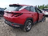5NMJACAE7NH****** Salvamento y Destrozados 2022 Hyundai Tucson en Estado de Nueva York