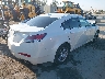 19UUA8F53AA****** Salvage and Wrecked 2010 Acura TL in California State