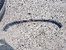 1D7HU182X8S****** Destrozados 2008 Dodge Ram 1500 en Estado de Wisconsin