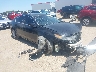 19UUA8F2XAA****** Salvamento y Destrozados 2010 Acura TL en Fort Worth North