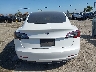 5YJ3E1EA6MF****** Wrecked 2021 Tesla Model 3