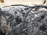 JM1BL1H5XA1****** Repairable 2010 Mazda 3 in Tennessee State