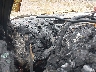 JM1BL1H5XA1****** Salvage 2010 Mazda 3 in Knoxville