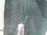 NOR6738***** Usados 2000 Crestliner 17' en Rec Rides Online Exclusive