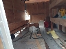5HABE1428MN****** Usados y Reparables 2021 Homesteader 14' Enclosed Trailer en Estado de Pennsylvania