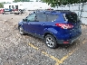 1FMCU0GX9EU****** Salvamento y Reparables 2014 Ford Escape en Grand Rapids