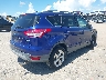 1FMCU0G90EU****** Salvamento y Destrozados 2014 Ford Escape en Estado de Florida