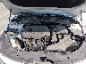 5XXGT4L37KG****** Repairable 2019 Kia Optima in Hartford