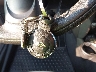 WMWZP3C50ET****** Salvage 2014 MINI Convertible in Maryland State