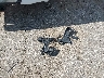 1FTEW1CP4LK****** Wrecked 2020 Ford F-150 in Florida State
