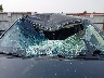 1GCPTDE13H1****** Salvamento y Reparables 2017 Chevrolet Colorado en Estado de Washington