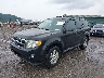 1FMCU0D75BK****** Usados y Reparables 2011 Ford Escape en Pittsburgh