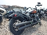 1HD1YYK18MB****** Salvamento y Destrozados 2021 Harley-Davidson Street Bob 114 en Estado de Wisconsin