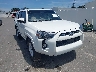 JTEEU5JR9R5****** Salvage and Wrecked 2024 Toyota 4Runner in Clearwater