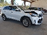 5XYPG4A56KG****** Salvage and Wrecked 2019 Kia Sorento in Seattle