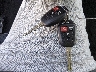 4T1BF1FK0GU****** Salvamento 2016 Toyota Camry en Estado de California