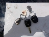 JTHBA30G045****** Salvage 2004 Lexus ES in Washington State