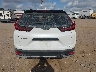 7FARW1H20LE****** Wrecked 2020 Honda CR-V