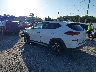 KM8J3CAL5MU****** Salvage and Repairable 2021 Hyundai Tucson in Tampa