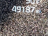 5XYK33DF5RG****** Salvage 2024 Kia Sportage