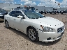 1N4AA5AP9CC****** Salvamento y Destrozados 2012 Nissan Maxima en Houston North