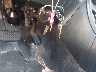JTKKU10489J****** Salvage 2009 Scion xD in California State