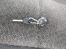 1GNFK13068R****** Salvamento 2008 Chevrolet Tahoe en Estado de Kentucky