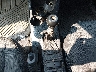 KNDJF724997****** Wrecked 2009 Kia Sportage in Maryland State