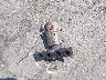 5XXGU4L32JG****** Wrecked 2018 Kia Optima in California State
