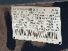 5J8TB2H55AA****** Used 2010 Acura RDX in Avenel New Jersey