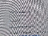 5YJ3E1EA7MF****** Wrecked 2021 Tesla Model 3