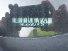 1N4AL21E59N****** Salvage 2009 Nissan Altima in New York State