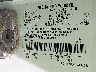 NM0LS7F20L1****** Usados 2020 Ford Transit Connect en Indianapolis South