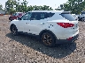 5XYZTDLB9GG****** Salvage and Repairable 2016 Hyundai Santa Fe in Avenel New Jersey