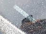 KMHCT5AE4DU****** Salvage 2013 Hyundai Accent in New York State