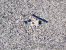 1FMFU18516L****** Wrecked 2006 Ford Expedition in California State