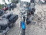 1HD4CJM145K****** Usados y Reparables 2005 Harley-Davidson Sportster 883 Custom en Estado de Georgia