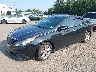 5NPEC4AC3DH****** Usados y Reparables 2013 Hyundai Sonata en Metro DC