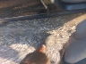 KMHJF25F6XU****** Usados y Reparables 1999 Hyundai Elantra en Estado de Nueva York