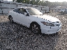 1HGCS1B84BA****** Salvage and Wrecked 2011 Honda Accord in Shreveport